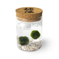 Marimo Original - Ideogram (Double)