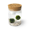 Marimo Original - Happiness (Double)