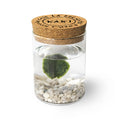 Marimo Original - Happiness