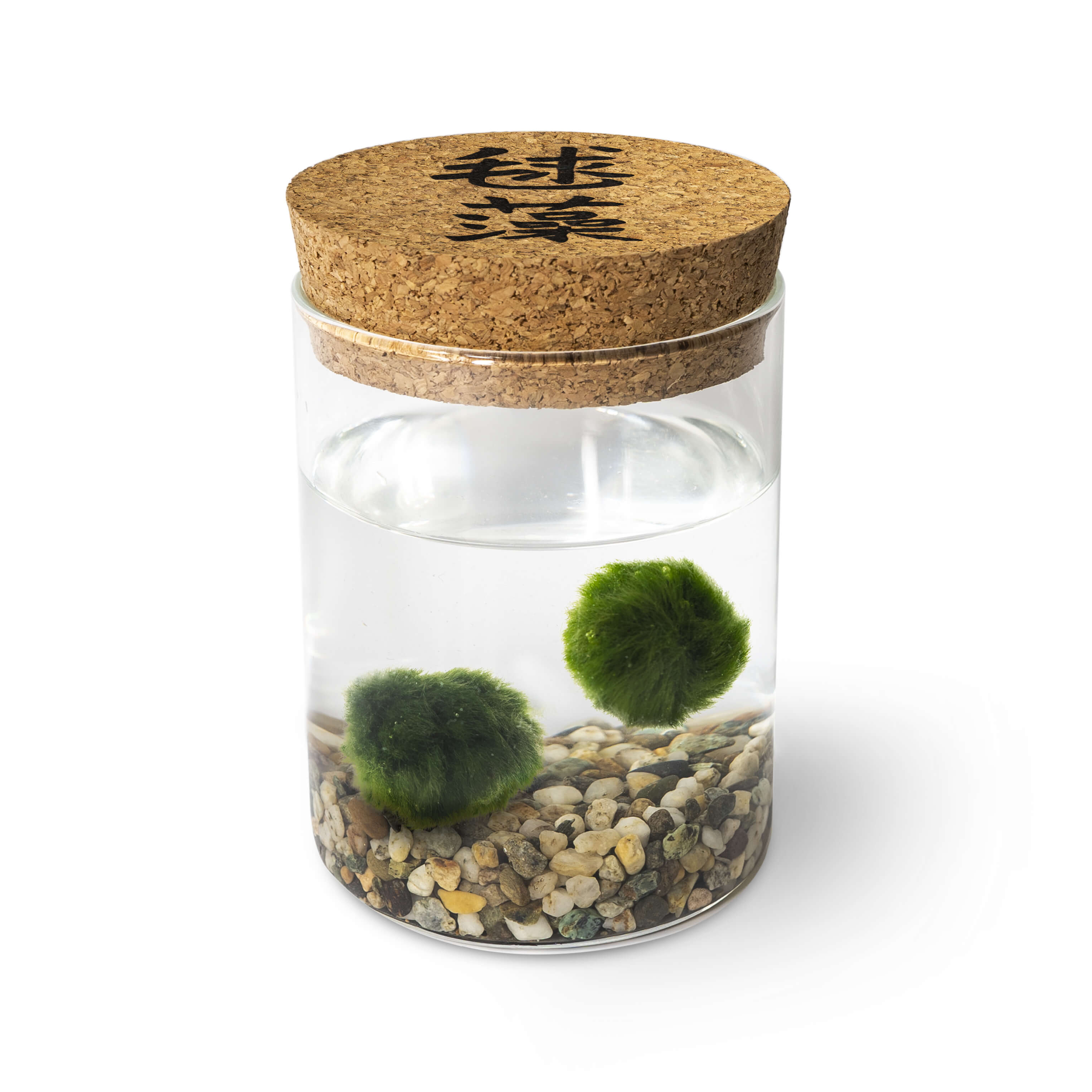 Marimo Original - Ideogram (Double)