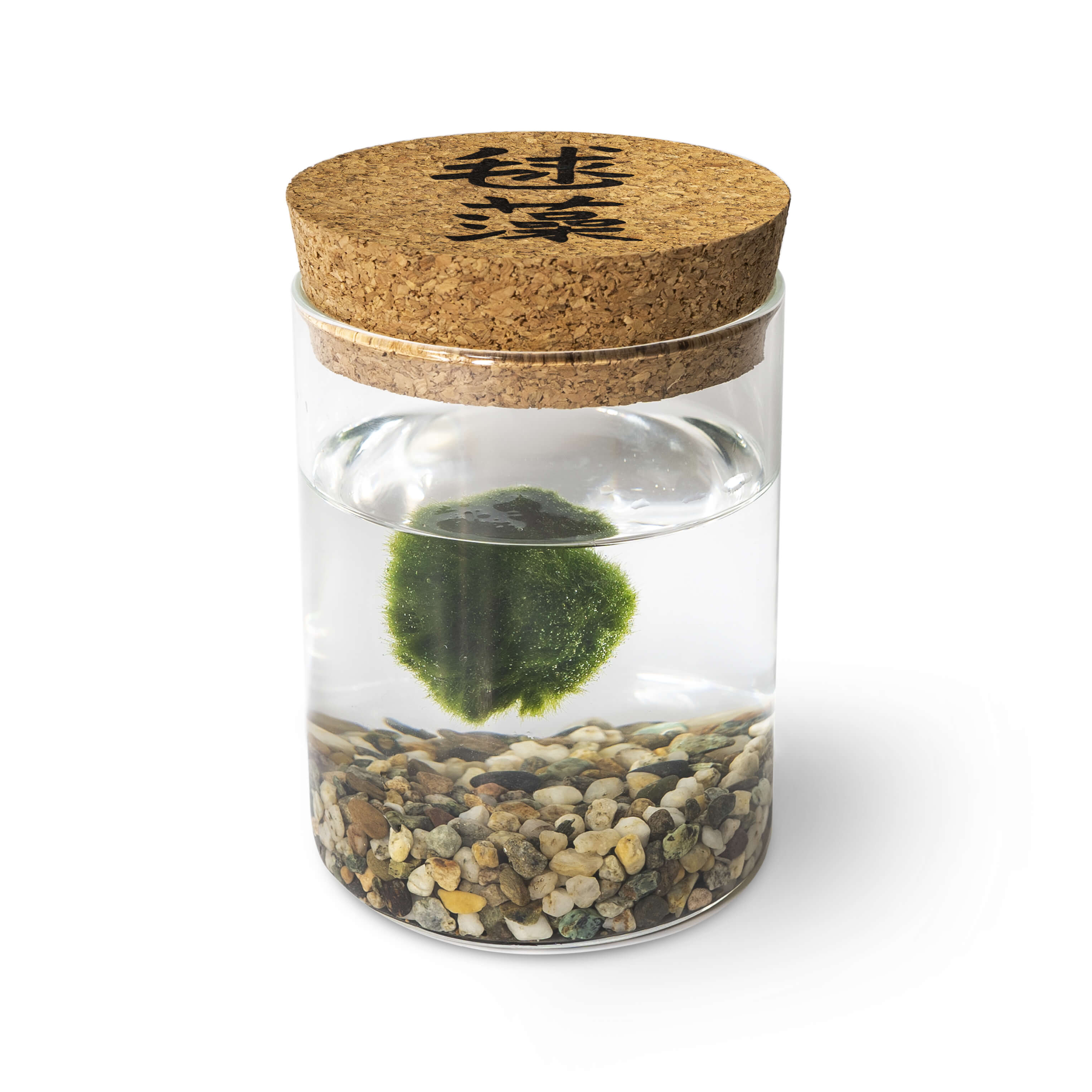 Marimo Original - Ideogram
