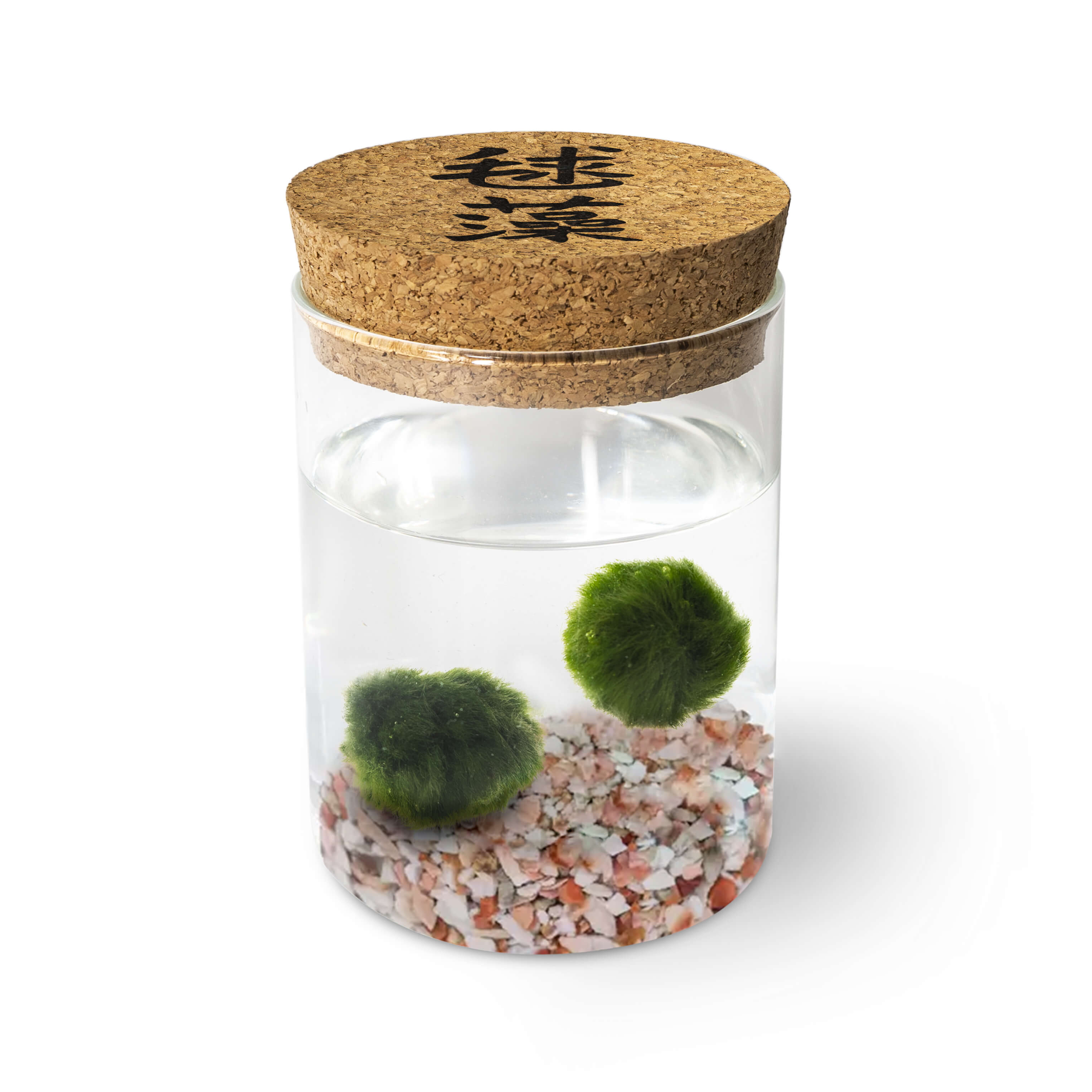 Marimo Original - Ideogram (Double)