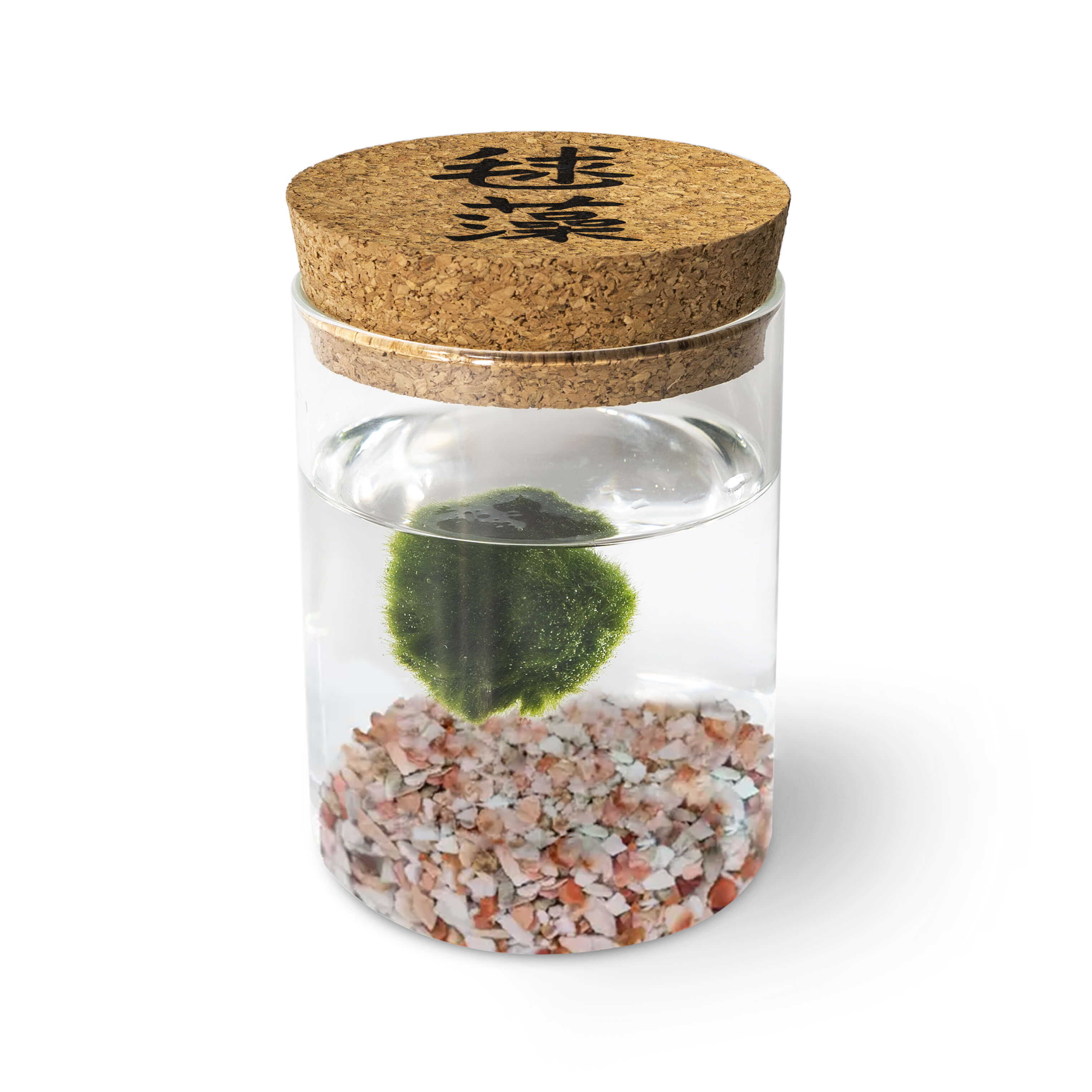 Marimo Original - Ideogram
