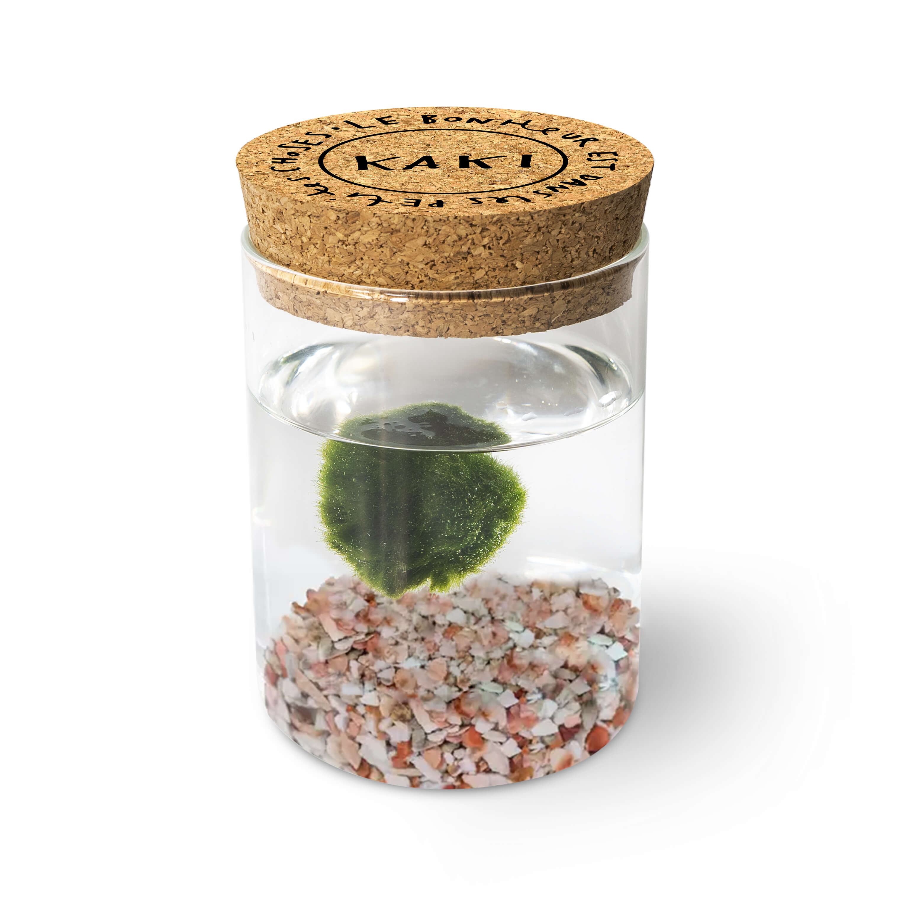 Marimo Original - Bonheur