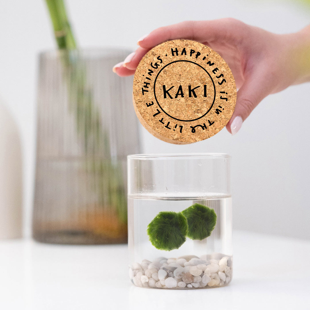 Marimo Original - Happiness (Double)