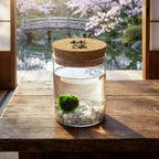 Marimo Original - Ideogram